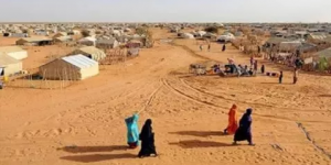 LA FAO PRÉVOIT UN AFFLUX DE 100 000 RÉFUGIÉS MALIENS EN MAURITANIE