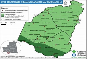 Analyse des résultats des élections présidentielles de juin 2024 dans la région de Guidimakha