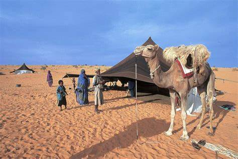 L’Inclusion des Nomades en Mauritanie : Un Impératif pour une Société Inclusive et Juste