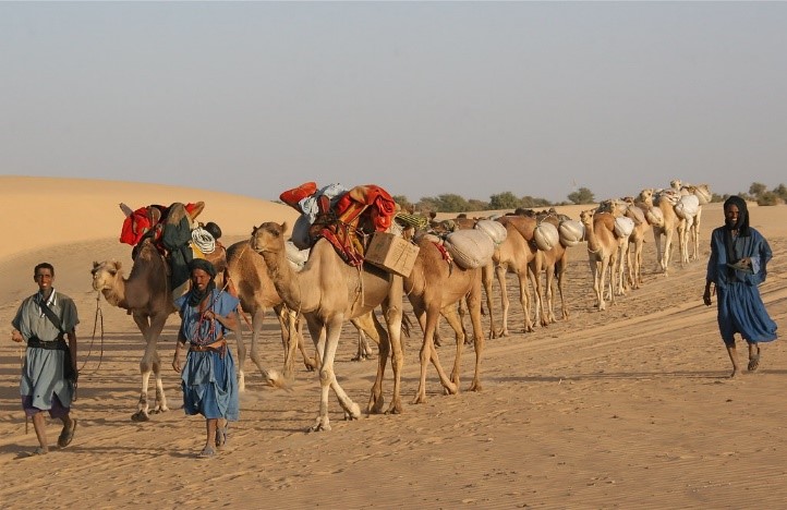 Le pastoralisme en Mauritanie : un mode de vie entre traditions et défis