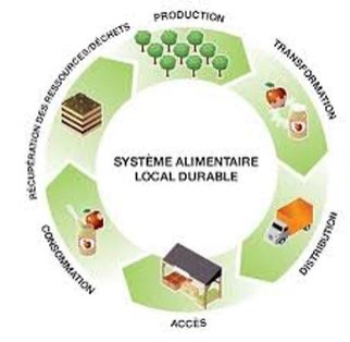 Aleg : la Mauritanie accélère la transformation de ses systèmes alimentaires