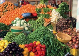 Mauritanie : réconcilier dépendance et souveraineté alimentaire par l’agroforesterie et l’innovation durable