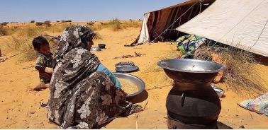 Les défis cachés de l’élevage mauritanien : protection sociale et développement humain