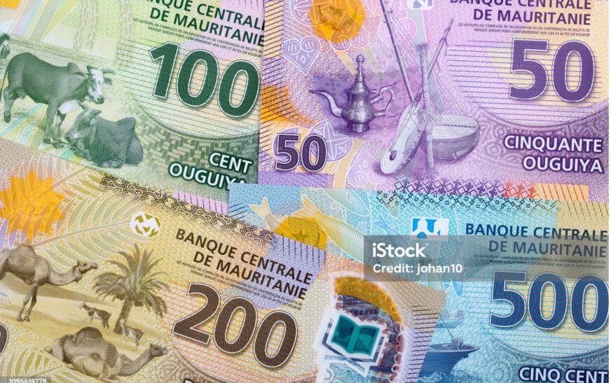AOUN, un modèle pour l’avenir de la protection sociale numérique en Mauritanie