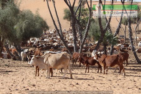 Sécurité alimentaire en Mauritanie : la société civile appelle à anticiper une crise aux conséquences multiples