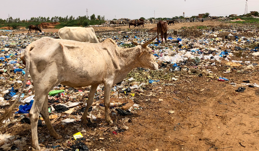 Mauritanie : de l’appel présidentiel à une économie des déchets, créatrice d’emplois et de villes propres.