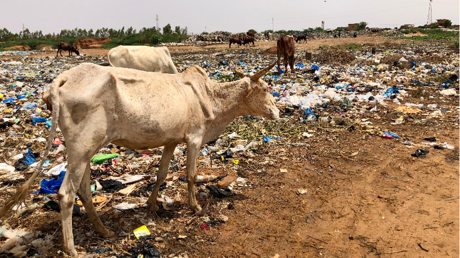 Mauritanie : de l’appel présidentiel à une économie des déchets, créatrice d’emplois et de villes propres.